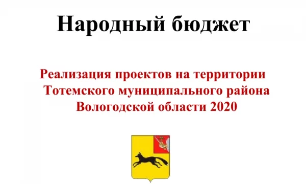 Отчет о реализации проекта "Народный бюджет" за 2020 год