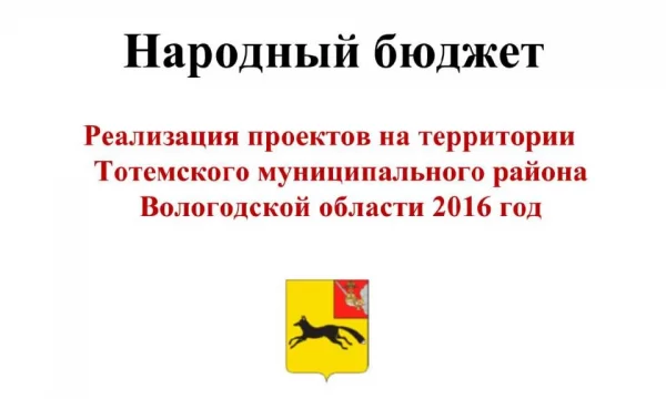 Отчет о реализации проекта "Народный бюджет" за 2016 год