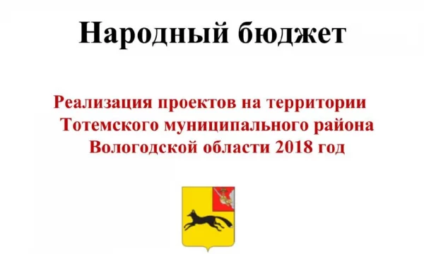 Отчет о реализации проекта "Народный бюджет" за 2018 год