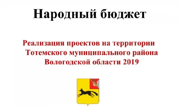Отчет о реализации проекта "Народный бюджет" за 2019 год