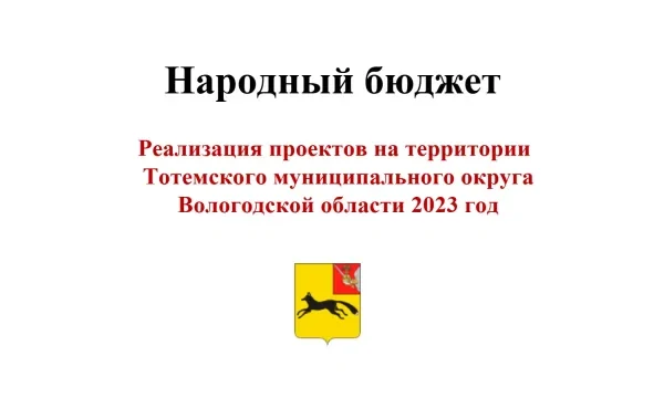 Отчет о реализации проекта "Народный бюджет" за 2023 год